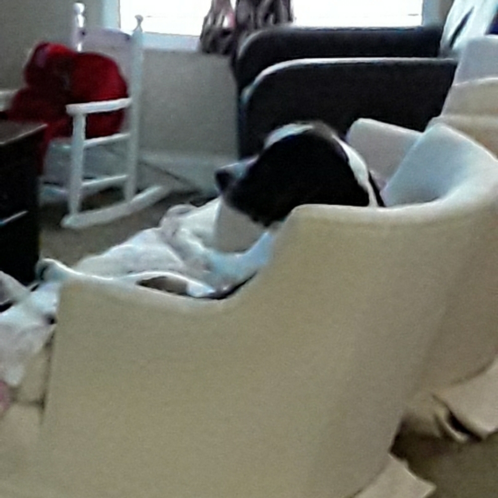 Meet your Posher, Kjeden.